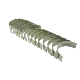 komplet-panewek-glownych-n-025-i-szlif-90500271-150020s1-sw400-bizon-an