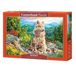 puzzle-1000-new-generation-castor
