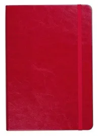 notes-a5-linia-formalizm-czerwony-antra