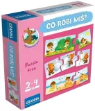 co-robi-mis-granna