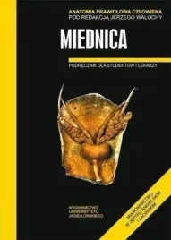anatomia-prawidlowa-czlowieka-miednica