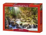 puzzle-2000-strumyk-w-lesie-castor
