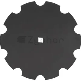talerz-zabkowany-11326627