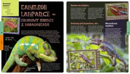 ksiazka-o-plazach-i-gadach-marcin-gorazdowski-multico