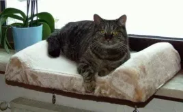 legowisko-56-x-36-x-7-cm-bezowe-kerbl