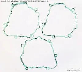 uszczelka-pokrywy-alternatora-athena-do-beta-250-300rr-2013-2024