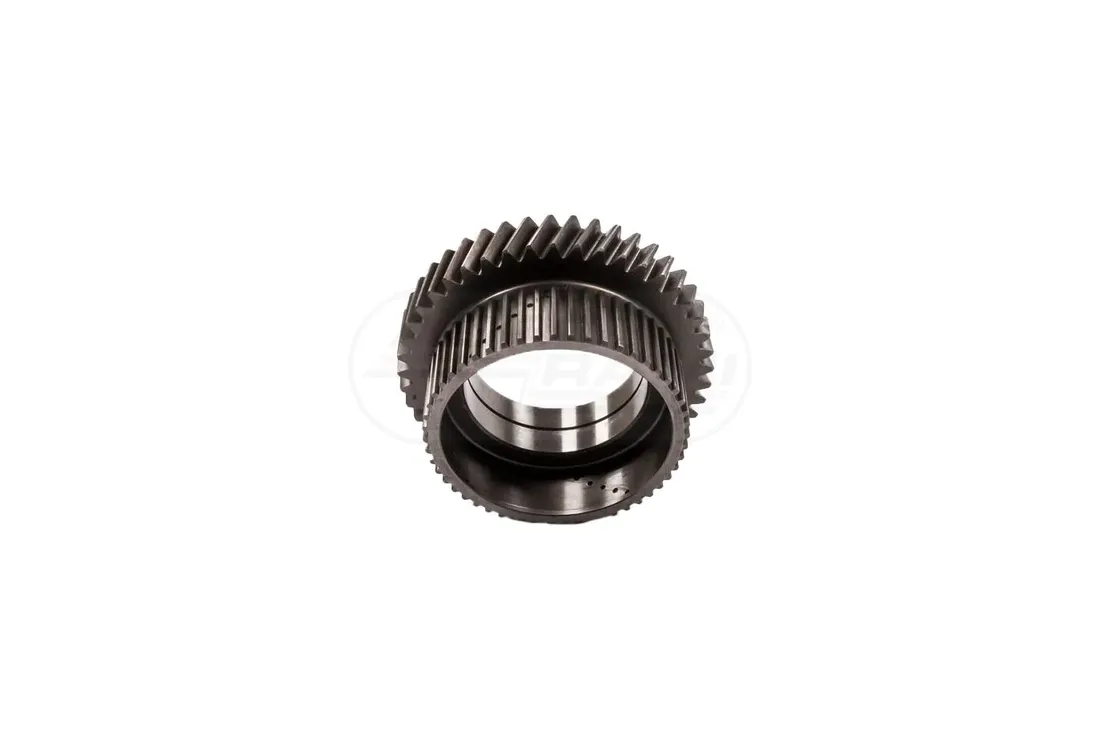 kolo-zebate-5167830