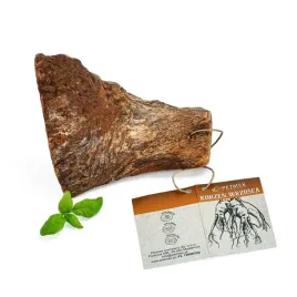 petmex-korzen-wrzosca-wytrzymaly-gryzak-dla-psa-s