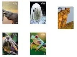 zeszyt-a5-32k-kratka-wild-mix-20szt