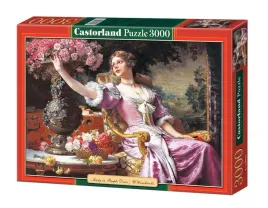 puzzle-3000-dama-w-rozowej-sukni-castor