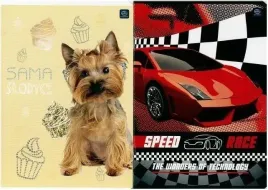 zeszyt-a5-16k-kolorowa-trzylinia-uv-mix-20szt