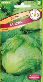 salata-krucha-lodowa-tarzan-duza-glowka-ponad-1kg-odporna-nasiona-salaty-1g
