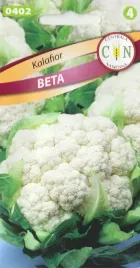 kalafior-beta-bialy-odporny-odmiana-wczesna-bardzo-smaczny-nasiona-1g