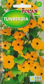 tunbergia-pomaranczowa-roslina-pnaca-kwiat-pergole-nasiona-kwiatow-05g