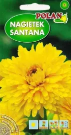 nagietek-santana-ziola-miododajna-kwiat-pelne-kwiaty-nasiona-nagietka-3g