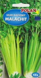 seler-naciowy-malachit-aromat-na-salatki-surowki-nasiona-selera-02g