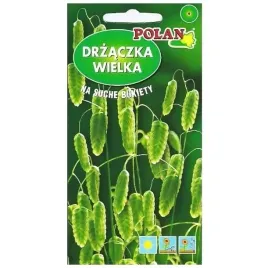 trawa-ozdobna-drzaczka-wielka-klosy-wieksza-wyjatkowa-nasiona-1g