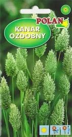 trawa-ozdobna-kanar-ozdobny-wysoka-kanarkowa-bukiety-nasionka-nasiona-2g