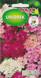 ubiorek-tetra-mercury-roslina-miododajna-kwiat-skaly-nasiona-kwiatow-2g