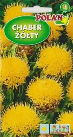 chaber-zolty-wysoki-kwiat-na-ciety-kwiaty-suszenie-nasiona-kwiatow-1g