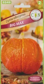 dynia-olbrzymia-big-max-na-przytwory-sr-wczesna-plenna-wit-a-nasiona-2g