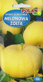 dynia-olbrzymia-melonowa-zolta-karoten-sr-wczesna-plenna-nasiona-dyni-5g