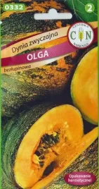 dynia-olga-na-pestki-jadalne-bez-lupiny-bogata-w-mineraly-cynk-nasiona-2g