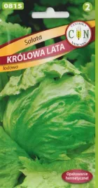 salata-lodowa-krolowa-lata-wczesna-duza-ponad-1kg-odporna-nasiona-salaty-1g