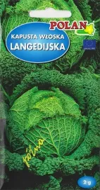 kapusta-wloska-langedijska-pozna-smaczona-nasiona-kapusty-wloskiej-2g