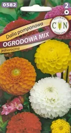 dalia-pomponowa-mix-kolorow-kwietniki-rabaty-kwiat-ciety-nasiona-1g