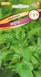 mieta-pieprzowa-ziola-aromatyczna-do-90cm-ziol-nasiona-miety-01g