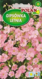 gipsowka-letnia-karminowa-kwiaty-ciete-suche-bukiety-kwiat-nasiona-2g