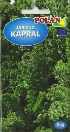 jarmuz-kapral-witaminy-sole-mineralne-na-surowki-do-zup-nasiona-2g