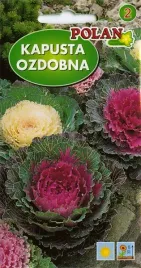 kapusta-ozdobna-mix-ozdoba-ogrodu-jesien-nasiona-kapusty-ozdobnej-05g