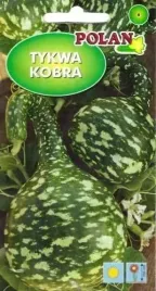 dynia-ozdobna-tykwa-pospolita-kobra-zielona-dekoracja-dyni-nasiona-1g