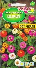 cynia-wytworna-liliput-mix-karlowa-pelne-kwiaty-kwiatki-nasiona-12g