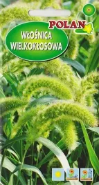 trawa-ozdobna-wlosnica-wielkoklosowa-nasiona-2g-swieze-i-suche-bukiety