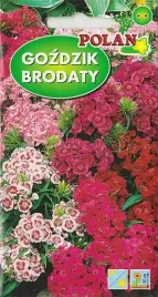 gozdzik-brodaty-skalniaki-mix-kolorow-rabaty-kwiat-ciety-kwiaty-nasiona-2g