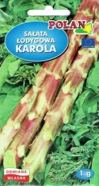 salata-lodygowa-karola-na-surowo-do-gotowania-kiszenia-nasiona-salaty-1g
