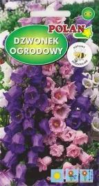 dzwonek-ogrodowy-duzy-mix-kolorow-miododajna-dwuletnia-nasiona-1g