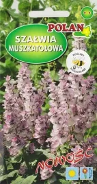 szalwia-muszkatolowa-miododajna-ziola-ozdobna-przyprawa-nasiona-05g