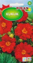 kuklik-szkarlatny-czerwony-skalniak-rabaty-kwiat-ciety-nasiona-kwiatow-05g