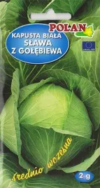 kapusta-biala-slawa-z-golebiewa-zwiezla-plenna-smaczna-nasiona-kapusty-2g