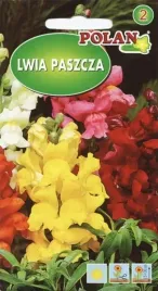 lwia-paszcza-wysoka-mix-kolorow-kwiaty-ciete-rabaty-kwietniki-nasiona-05g