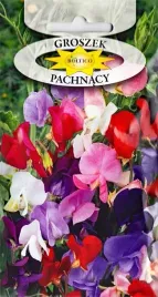 groszek-pachnacy-pnacy-mix-kolorow-roslina-pnaca-kwiat-kwiaty-nasiona-3g