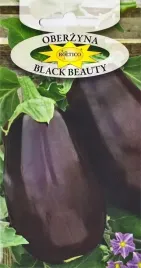 oberzyna-black-beauty-baklazan-gruszka-nasiona-1g-solanum-melongena