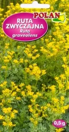 ruta-zwyczajna-ziola-bylina-napar-obniza-cisnienie-kwiat-ziol-nasiona-05g