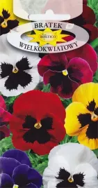 bratek-wielokwiatowy-mix-kolorow-dwuletni-kwiat-ciety-kwiaty-nasiona-05g