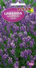 lawenda-ziola-pachnie-kwiat-nasiona-anty-mol-byliny-zielarstwo-04g