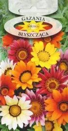 gazania-blyszczaca-mix-wielokolorowa-zolta-pomaranczowa-nasiona-03g